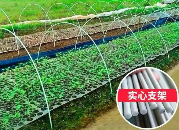 10mm Vezel het Versterkte Plastic Rod Flexible Fiberglass Rods For Groene Huis Planten