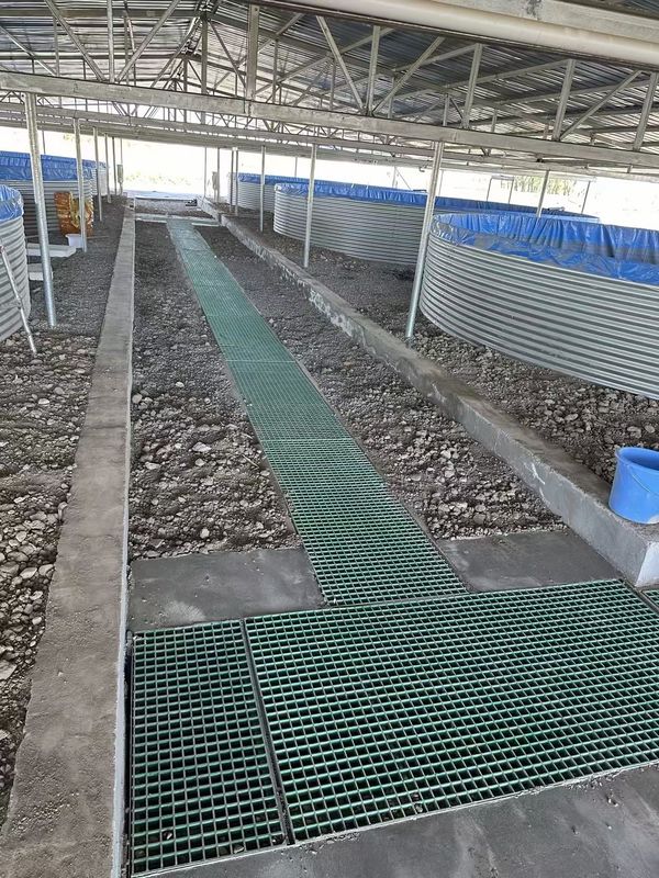 Fish Farm FRP rooster gangpad of platform kan worden aangepast voor grootte en kleur