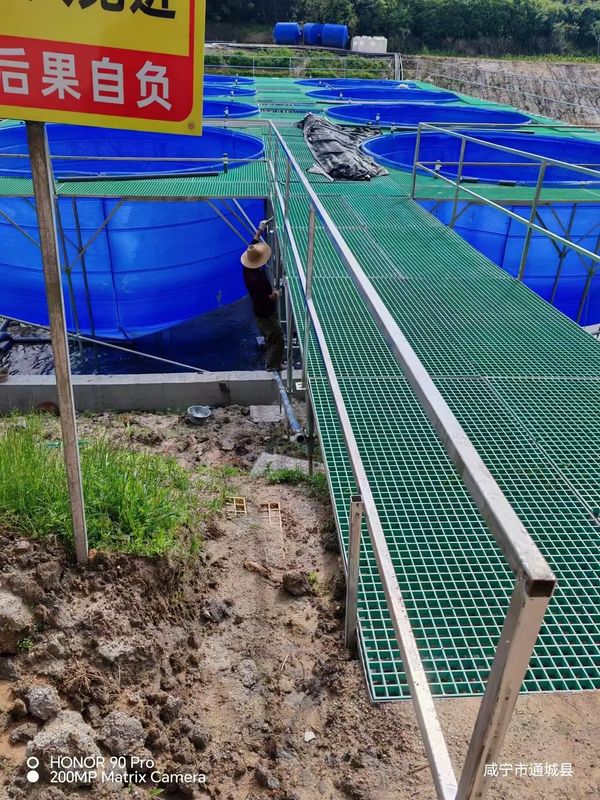 Fish Farm FRP rooster gangpad of platform kan worden aangepast voor grootte en kleur