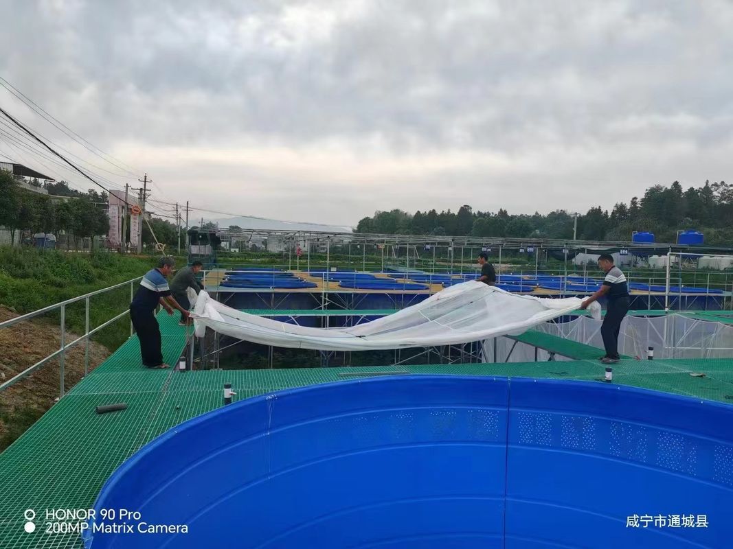 Fish Farm FRP rooster gangpad of platform kan worden aangepast voor grootte en kleur